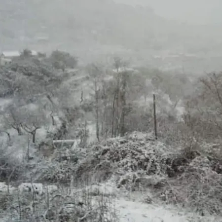 Rural Ca's Pelut Prázdninový dům Tárbena